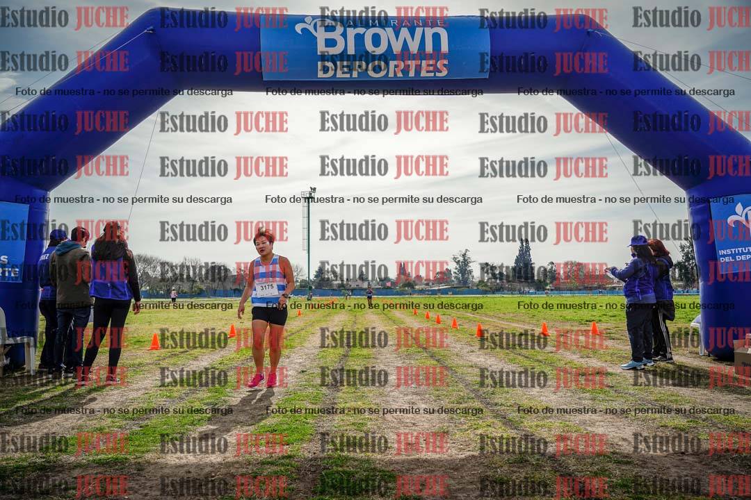Fotos de la llegada del cross de 6000 m