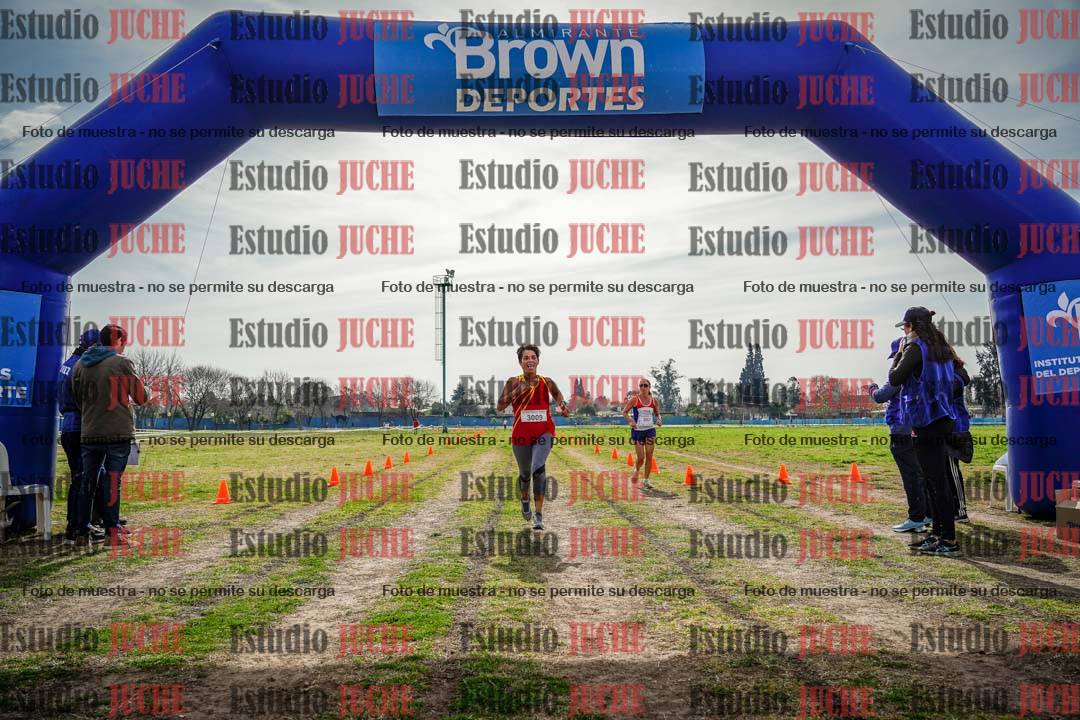 Fotos de la llegada del cross de 6000 m