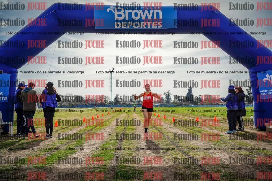 Fotos de la llegada del cross de 6000 m