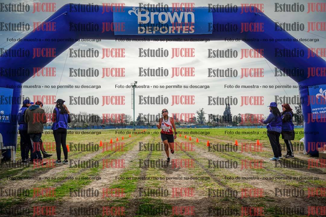 Fotos de la llegada del cross de 6000 m