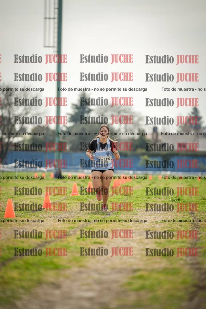 Fotos de la llegada del cross de 6000 m