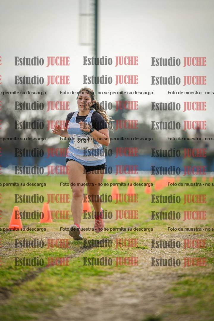 Fotos de la llegada del cross de 6000 m