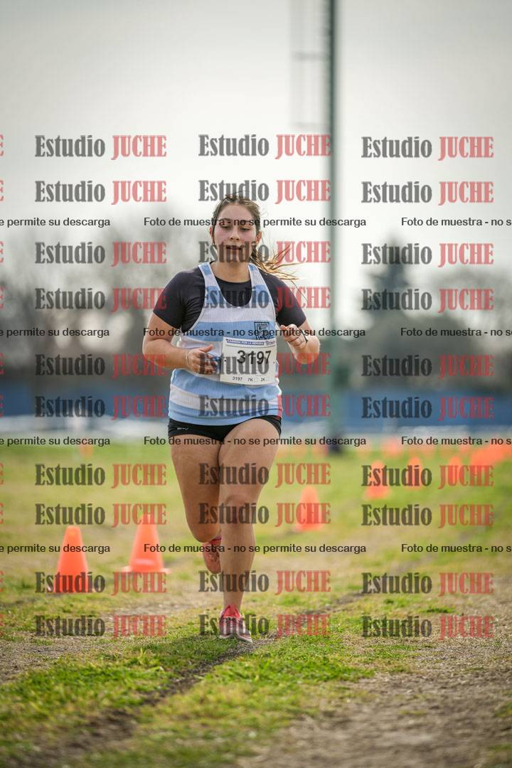 Fotos de la llegada del cross de 6000 m