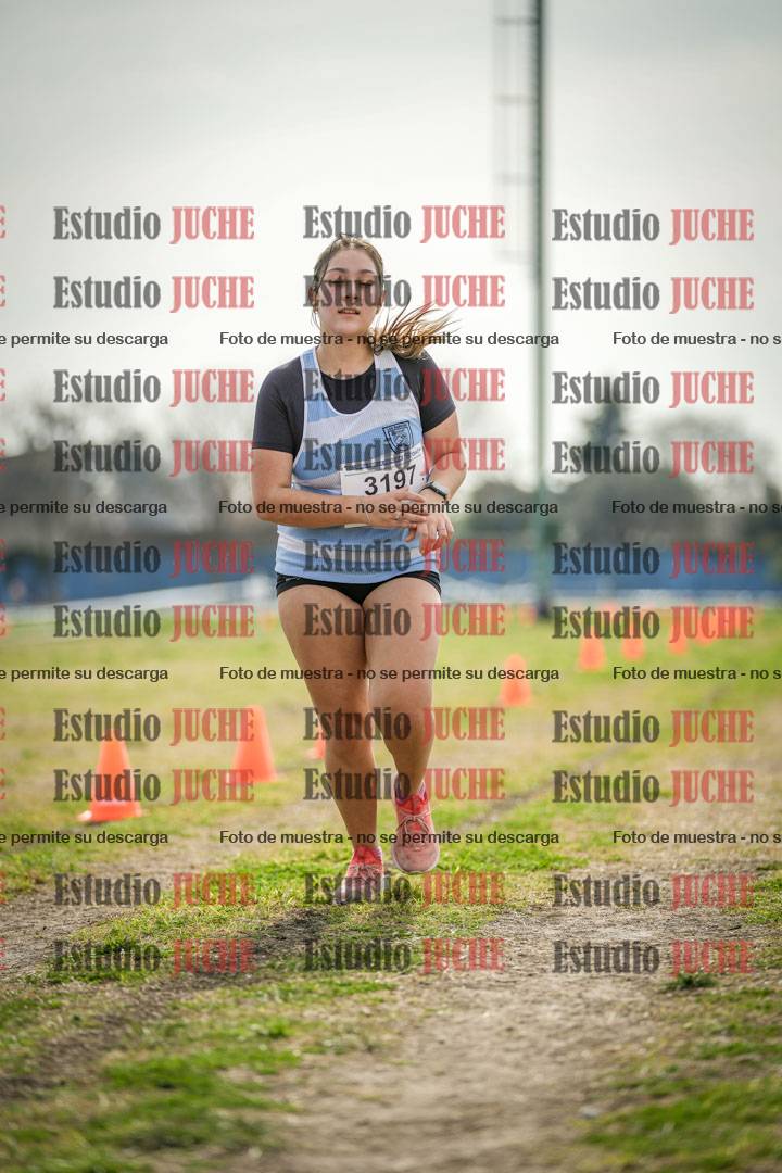 Fotos de la llegada del cross de 6000 m