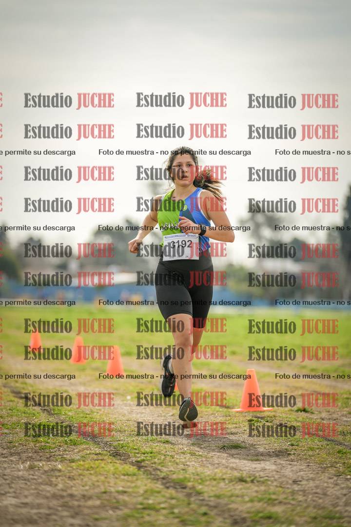 Fotos de la llegada del cross de 6000 m