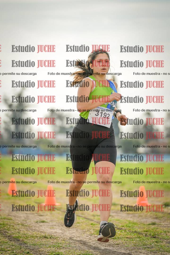 Fotos de la llegada del cross de 6000 m