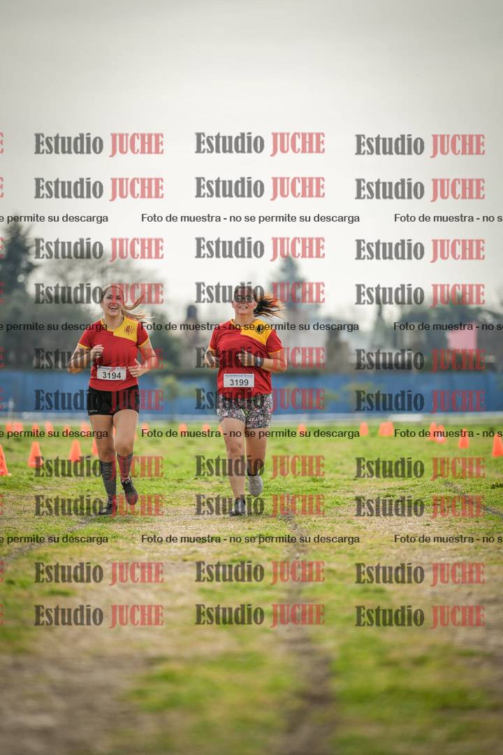 Fotos de la llegada del cross de 6000 m