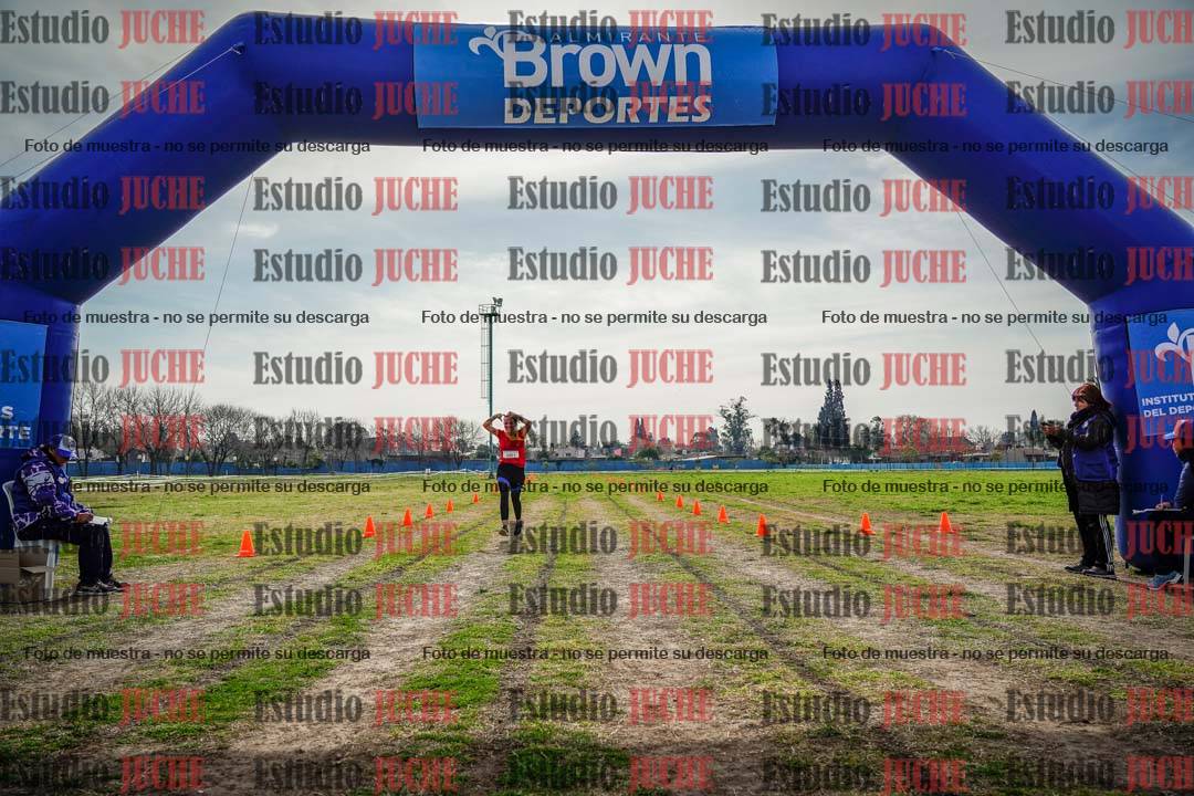 Fotos de la llegada del cross de 6000 m