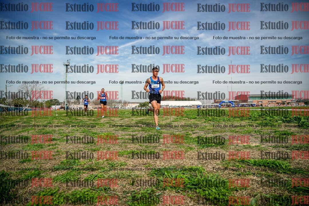 Fotos en el sexto punto del circuito