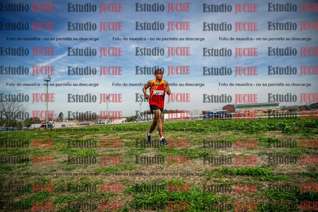 Fotos en el sexto punto del circuito