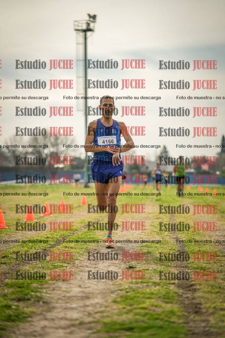 Fotos de la llegada del cross de 8000 m