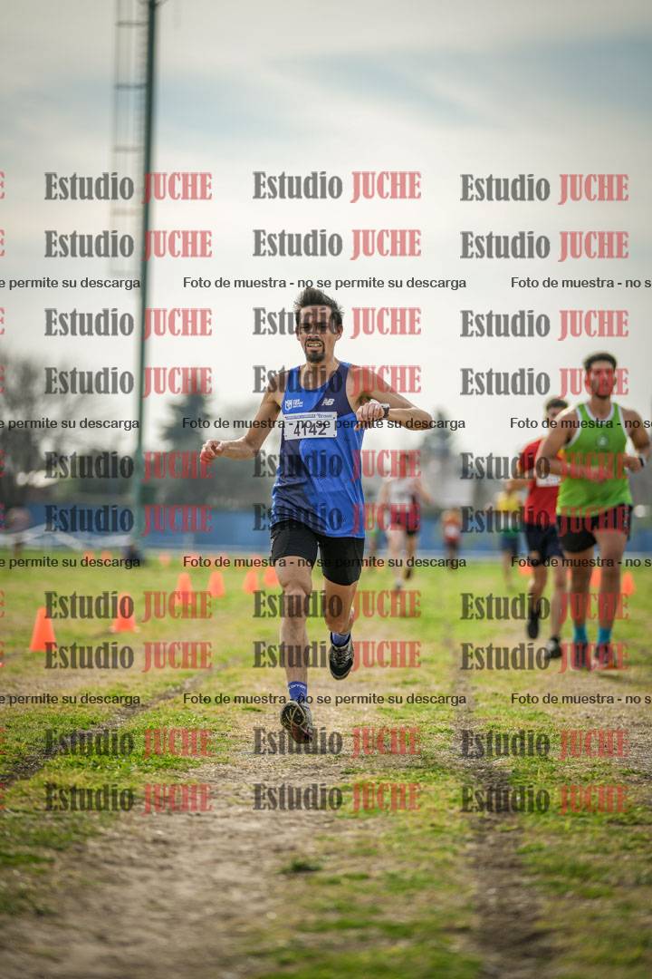 Fotos de la llegada del cross de 8000 m