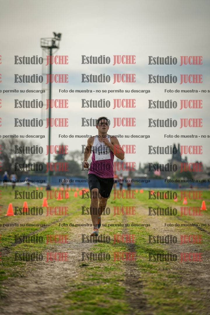 Fotos de la llegada del cross de 8000 m