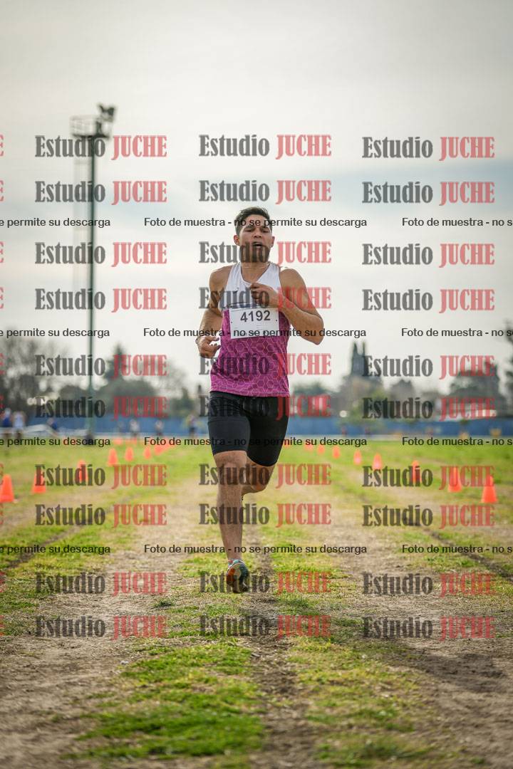 Fotos de la llegada del cross de 8000 m