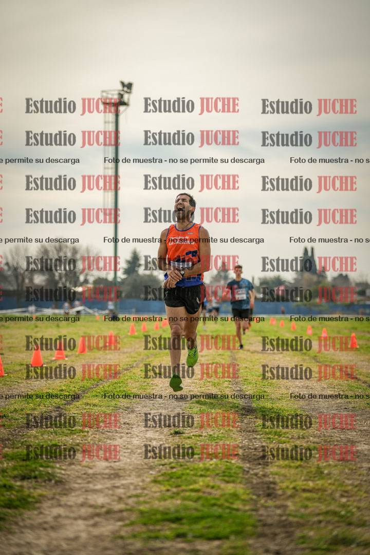 Fotos de la llegada del cross de 8000 m