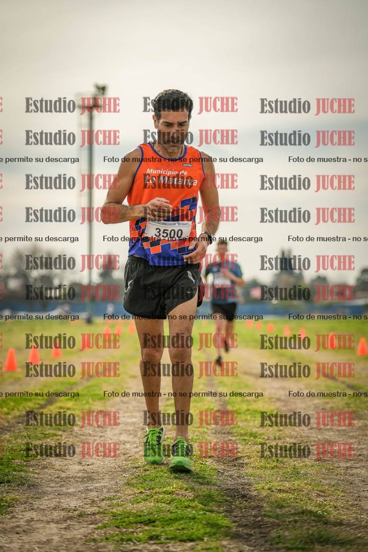 Fotos de la llegada del cross de 8000 m