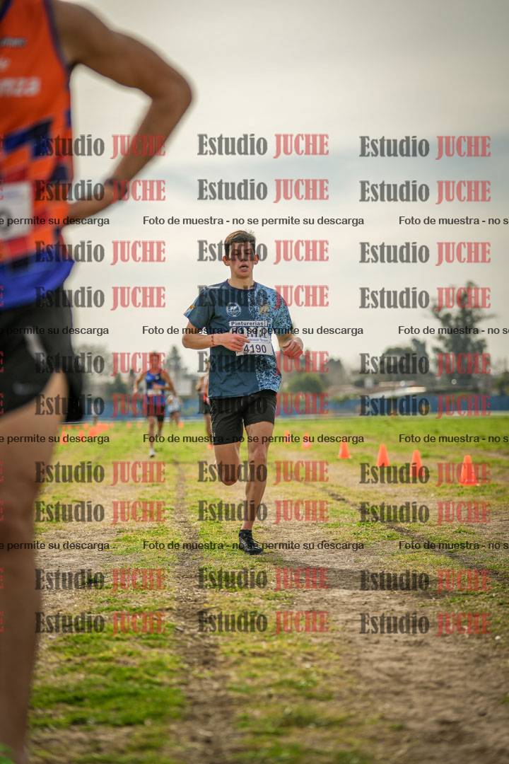 Fotos de la llegada del cross de 8000 m