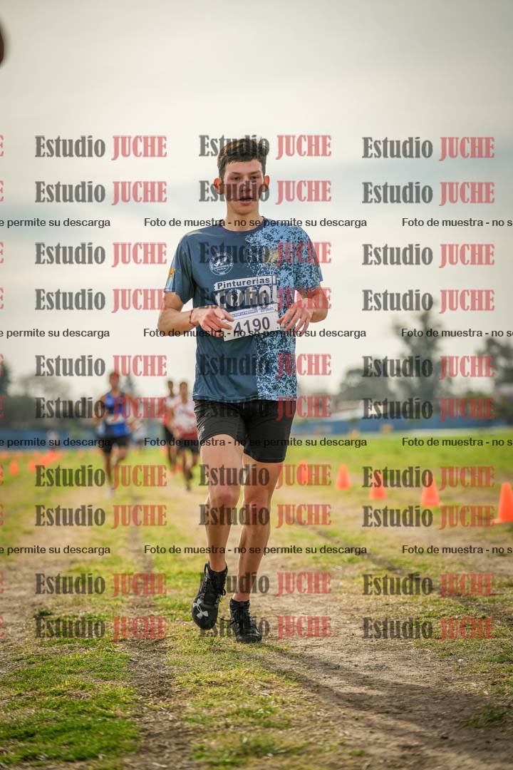 Fotos de la llegada del cross de 8000 m