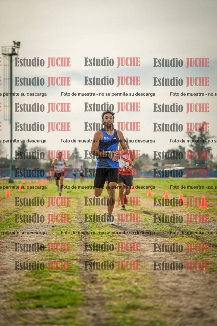 Fotos de la llegada del cross de 8000 m