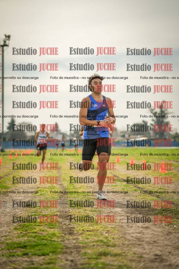 Fotos de la llegada del cross de 8000 m