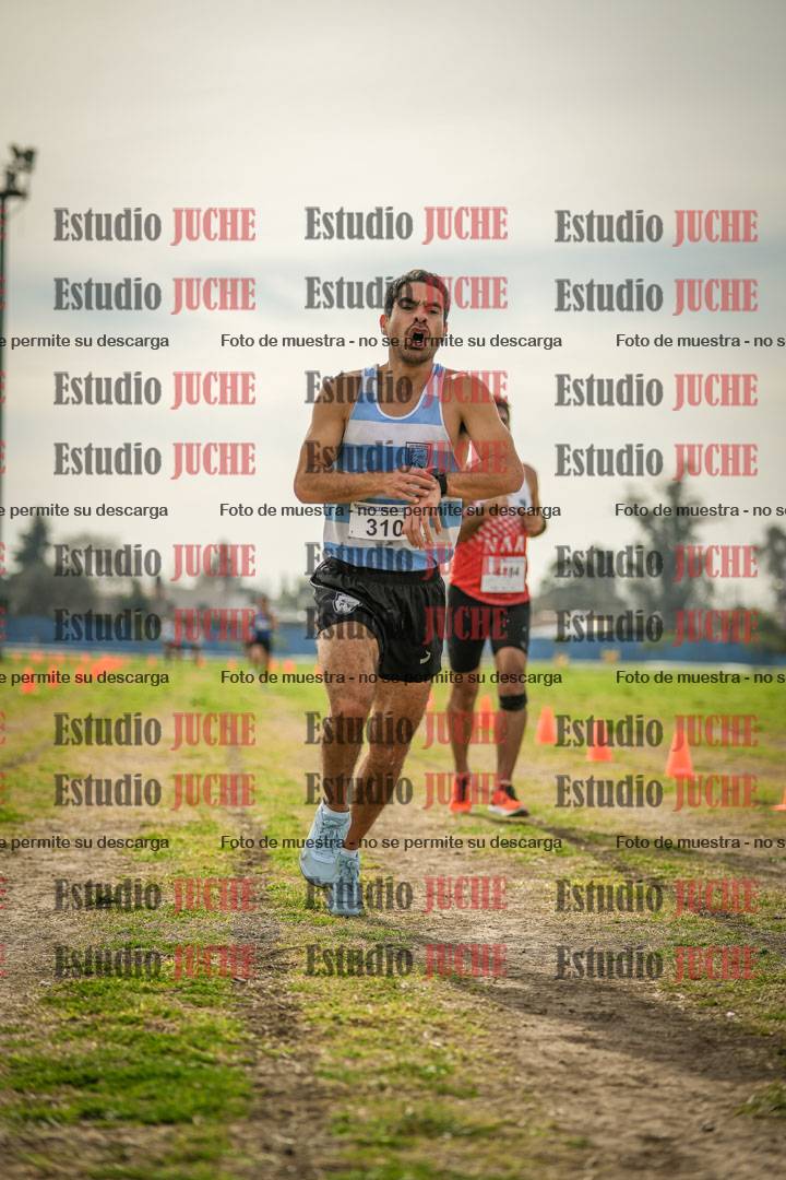 Fotos de la llegada del cross de 8000 m