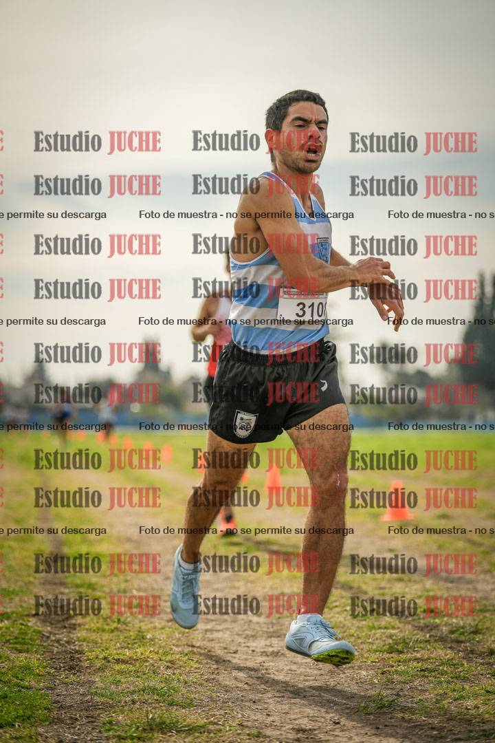 Fotos de la llegada del cross de 8000 m