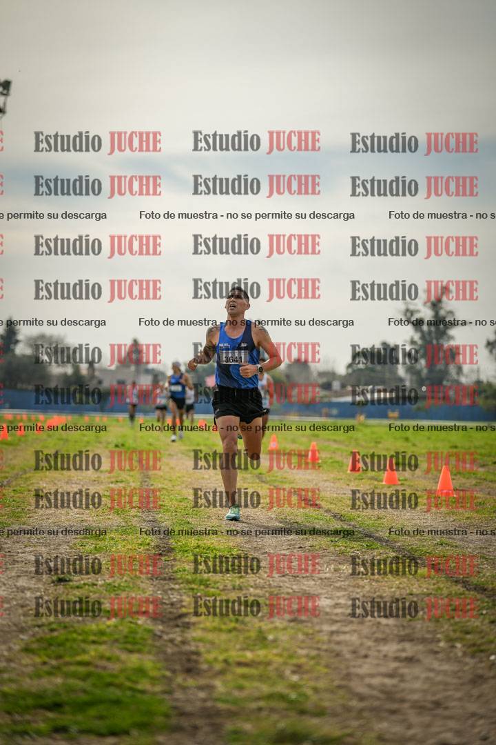 Fotos de la llegada del cross de 8000 m
