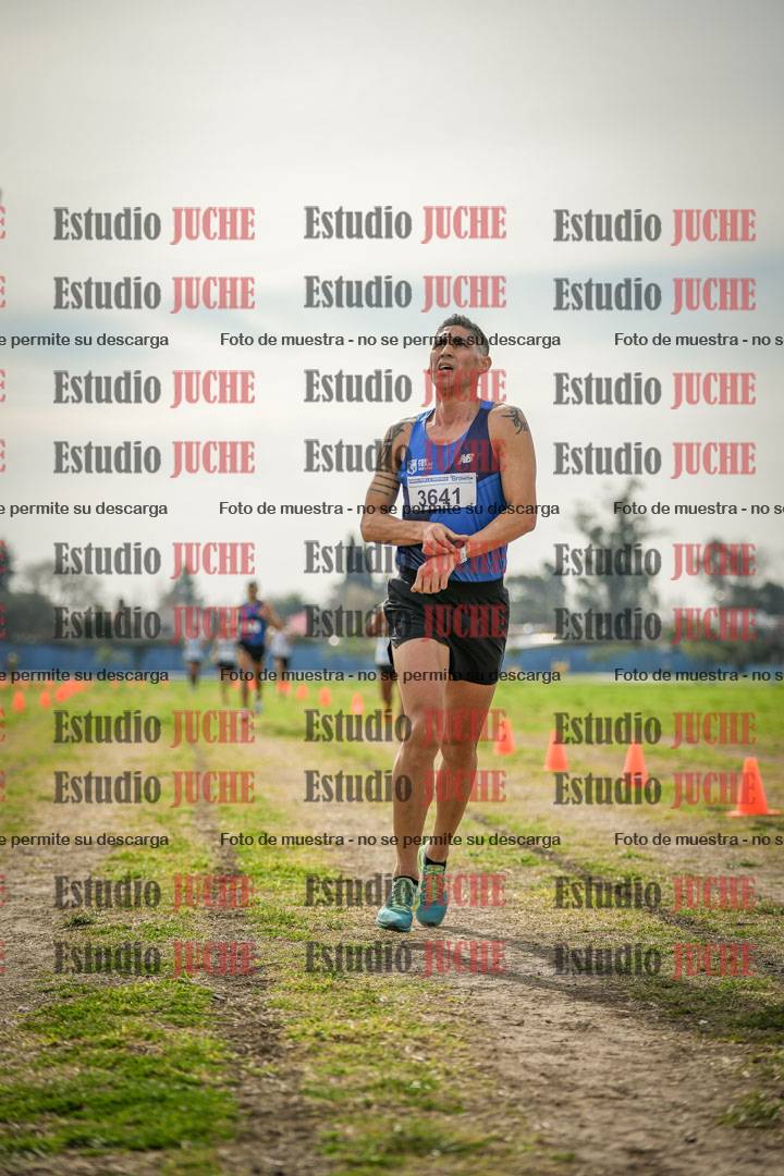 Fotos de la llegada del cross de 8000 m