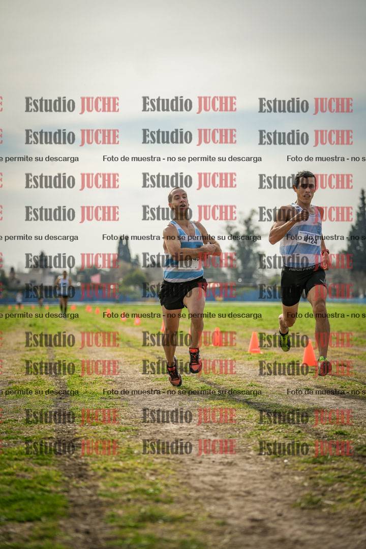 Fotos de la llegada del cross de 8000 m
