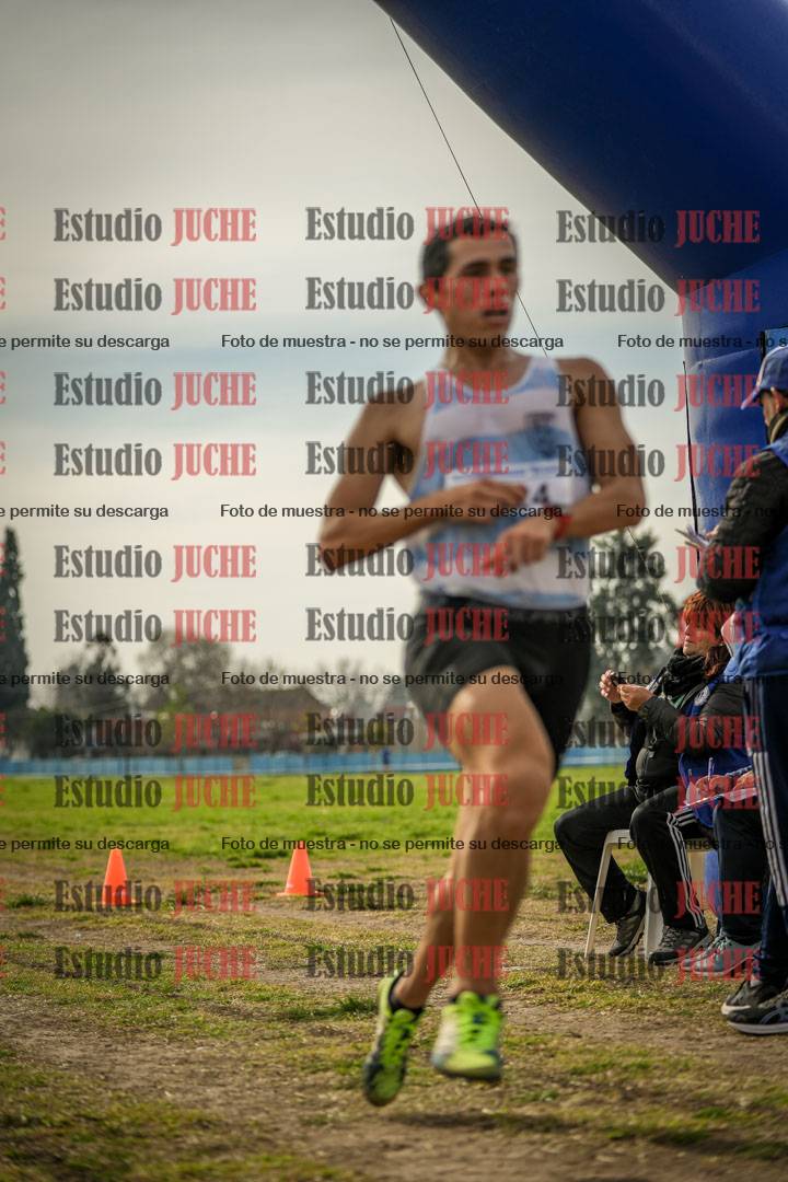 Fotos de la llegada del cross de 8000 m