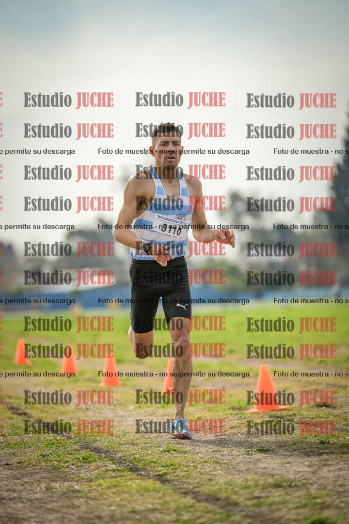 Fotos de la llegada del cross de 8000 m