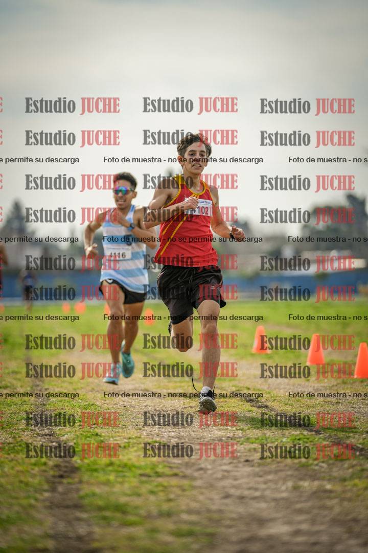 Fotos de la llegada del cross de 8000 m