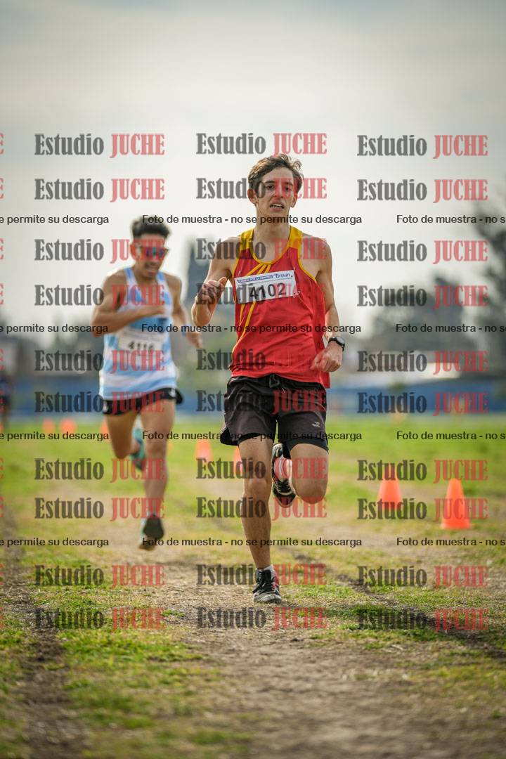 Fotos de la llegada del cross de 8000 m