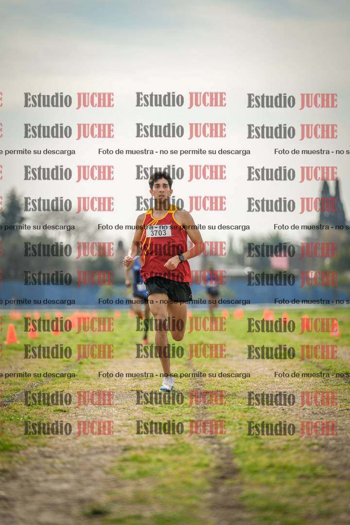 Fotos de la llegada del cross de 8000 m