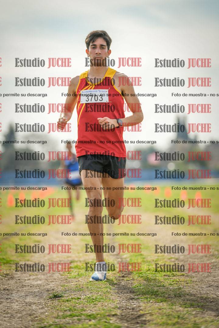 Fotos de la llegada del cross de 8000 m