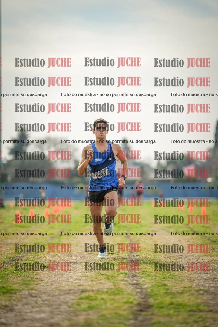 Fotos de la llegada del cross de 8000 m