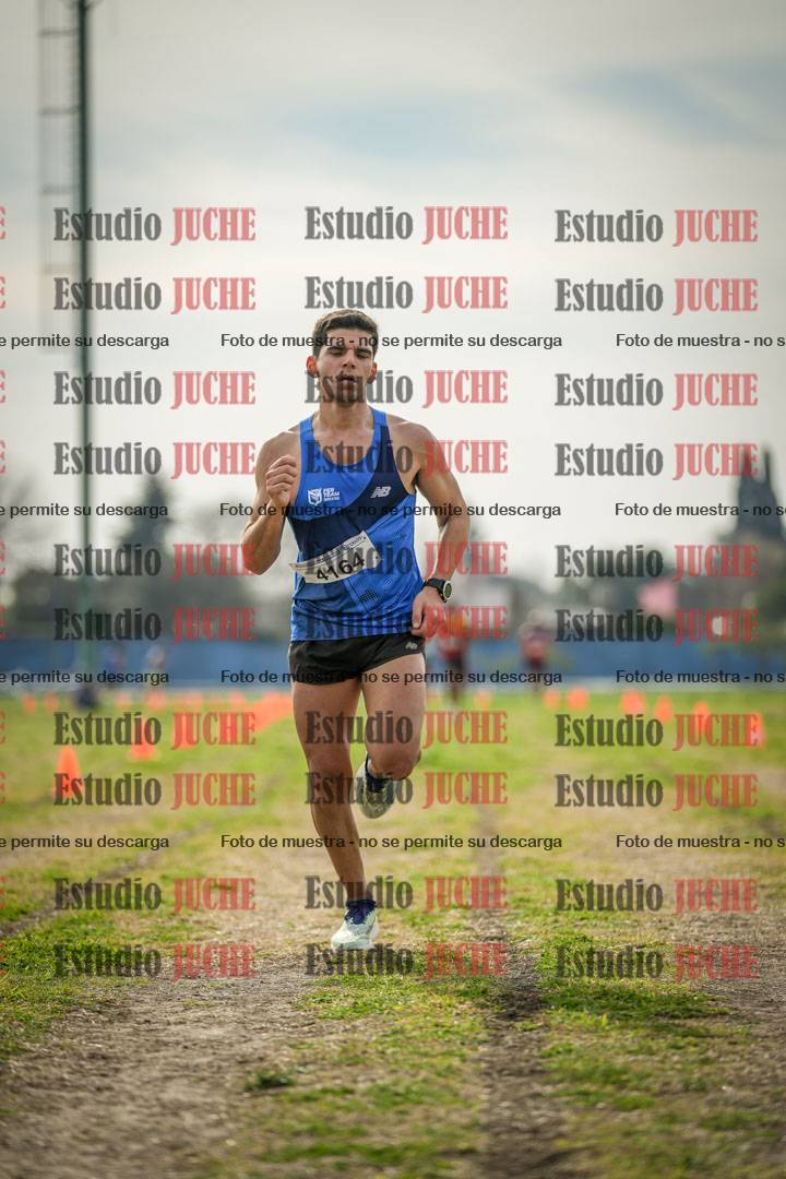 Fotos de la llegada del cross de 8000 m
