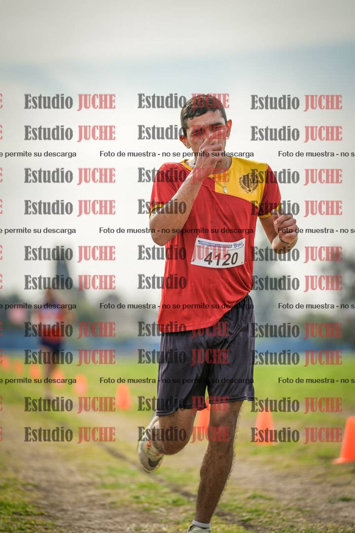 Fotos de la llegada del cross de 8000 m