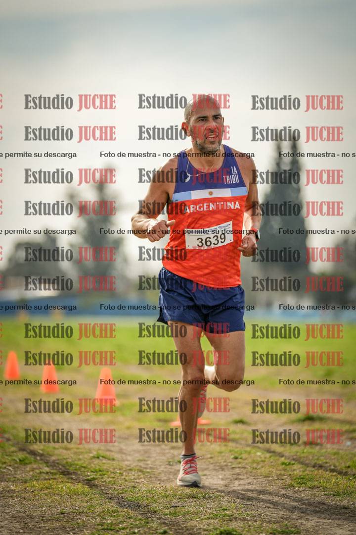 Fotos de la llegada del cross de 8000 m