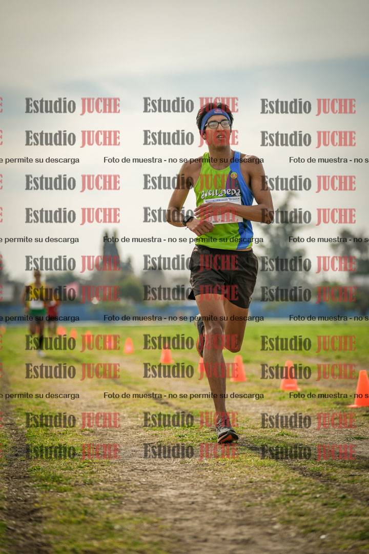 Fotos de la llegada del cross de 8000 m