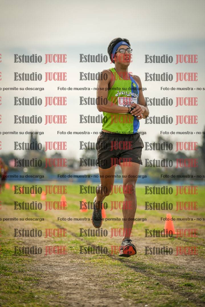 Fotos de la llegada del cross de 8000 m