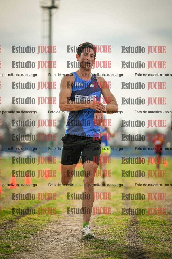 Fotos de la llegada del cross de 8000 m