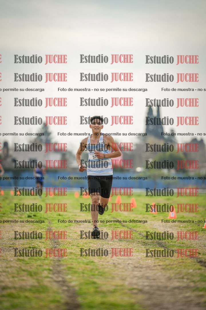 Fotos de la llegada del cross de 8000 m
