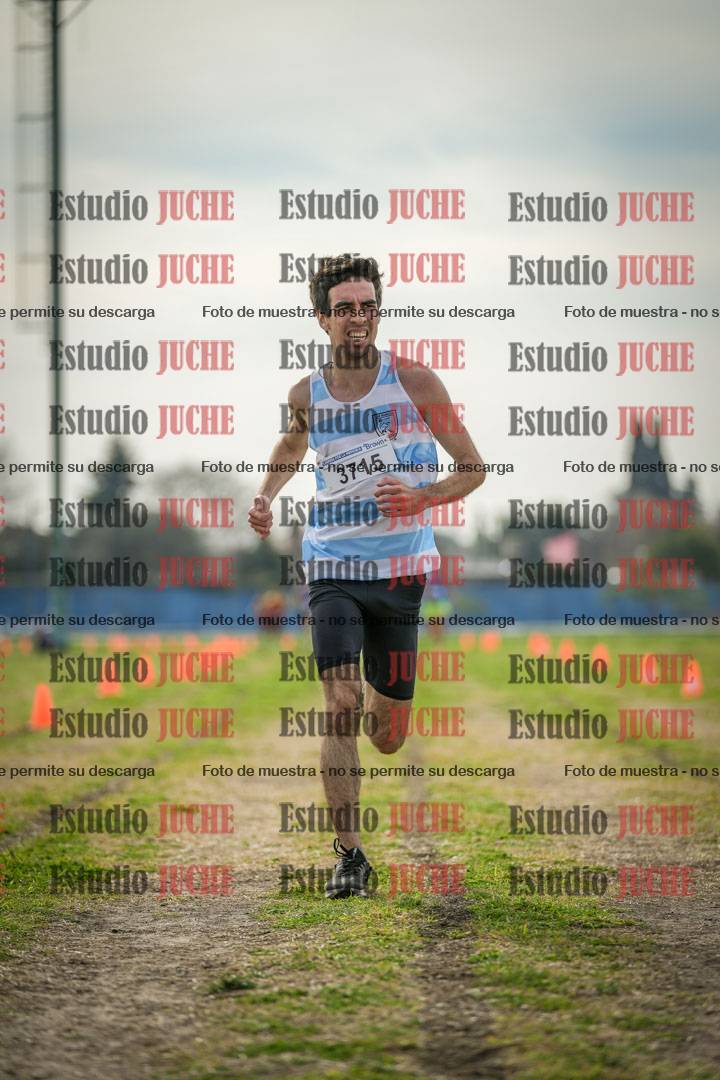 Fotos de la llegada del cross de 8000 m