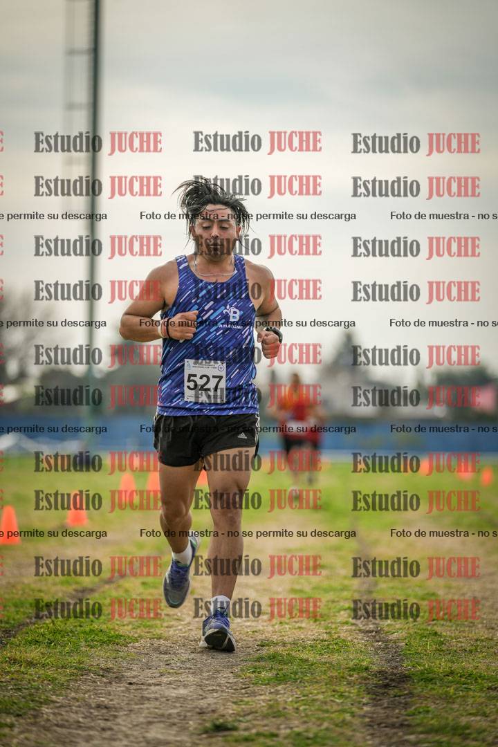 Fotos de la llegada del cross de 8000 m
