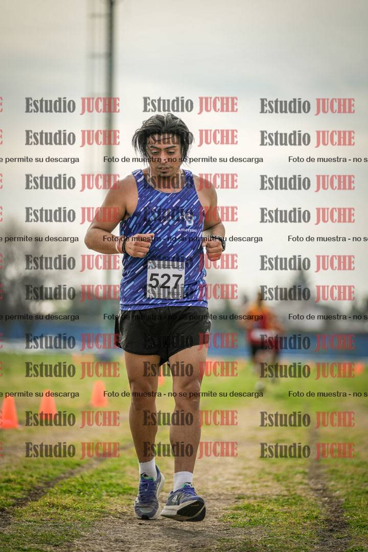 Fotos de la llegada del cross de 8000 m