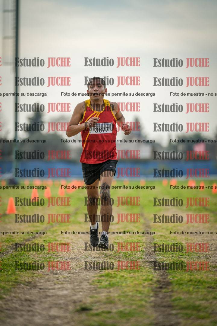 Fotos de la llegada del cross de 8000 m