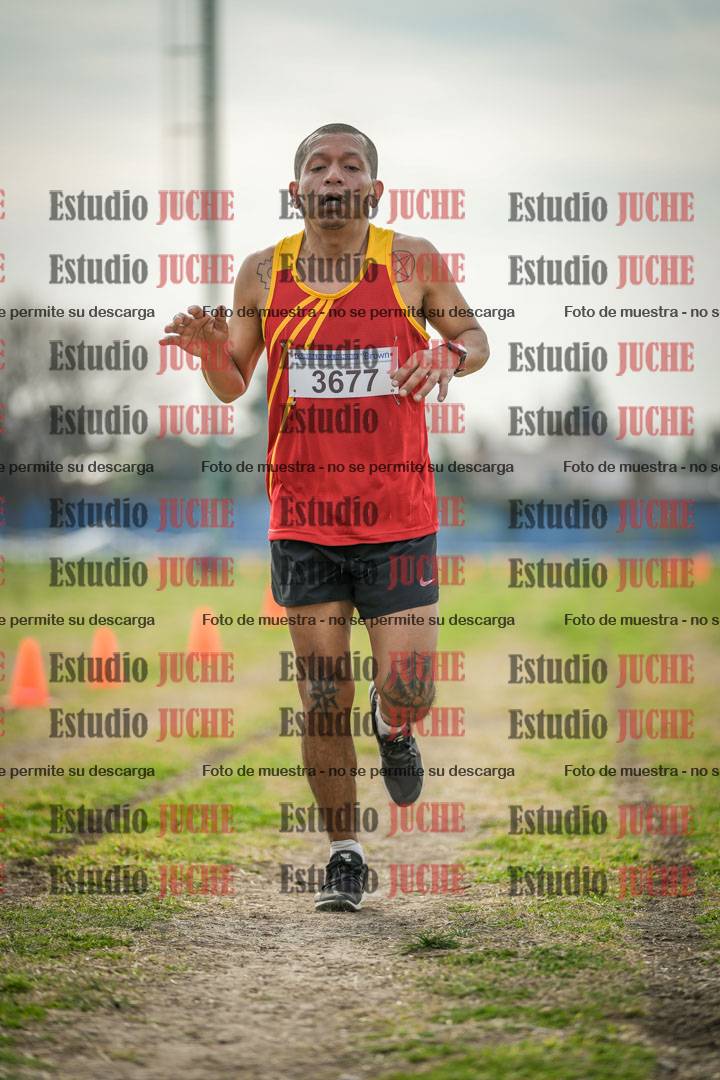 Fotos de la llegada del cross de 8000 m