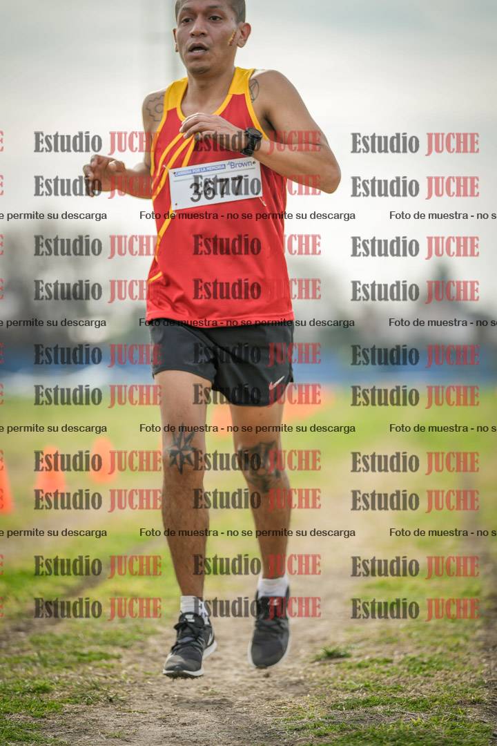 Fotos de la llegada del cross de 8000 m