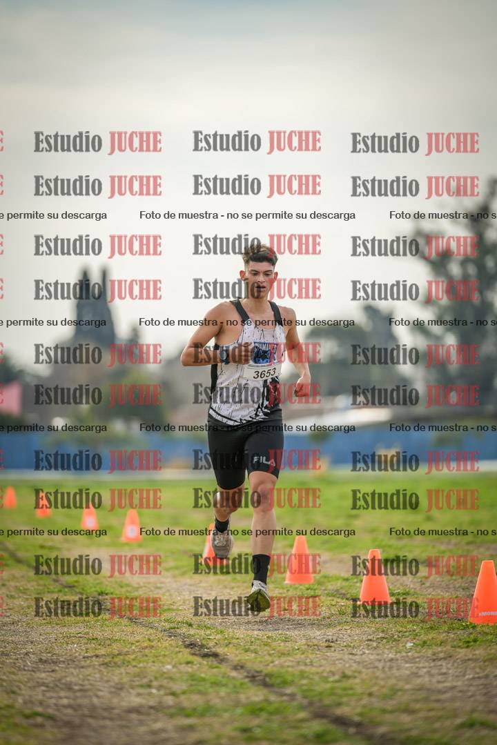 Fotos de la llegada del cross de 8000 m